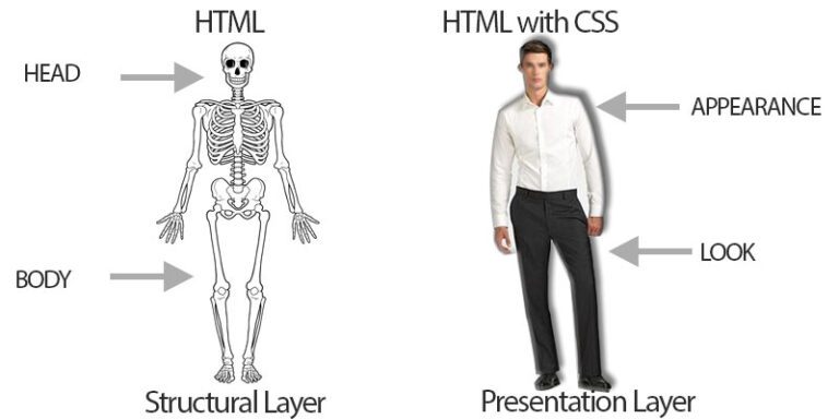 skeleton to the left, man to the right standing, comparing html vs css